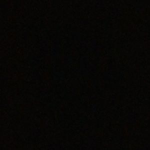 Meet your Posher, Morgan jean